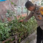 IMG-20250109-WA0030(1)