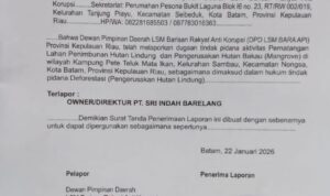 IMG-20260122-WA0049(1)