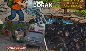 IMG-20260314-WA0107(1)