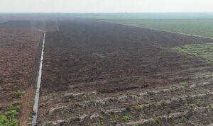 IMG-20260331-WA0369(1)