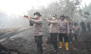 IMG-20260826-WA0442