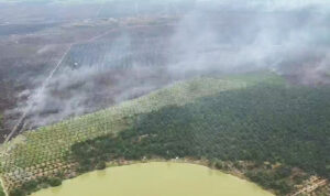 IMG-20260831-WA0310
