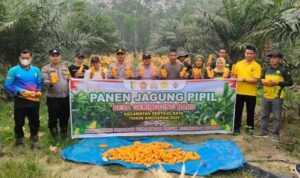 IMG-20261008-WA0341
